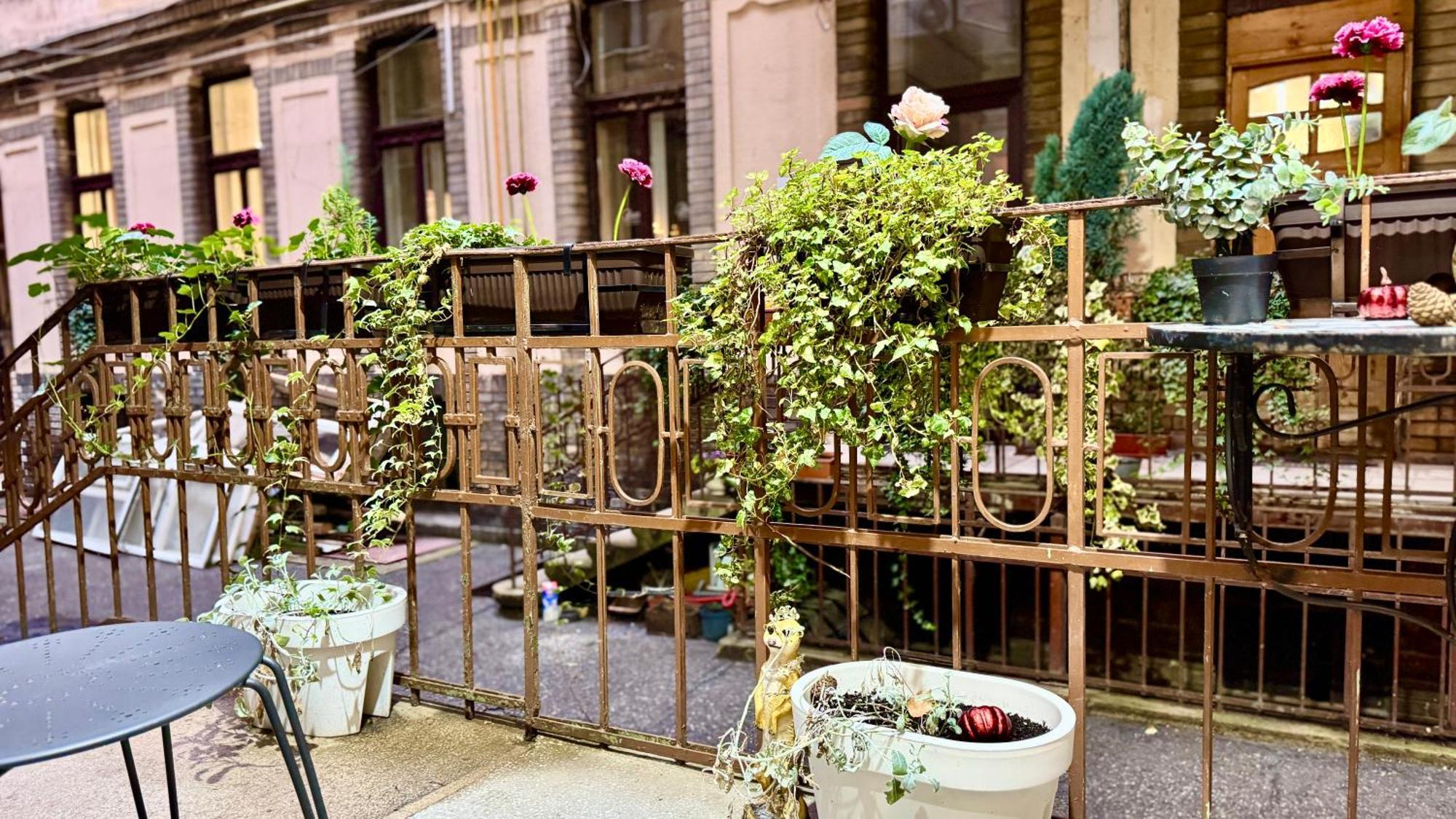Fsf Boutique Apartament Тимишоара Екстериор снимка